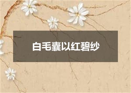 白毛囊以红碧纱