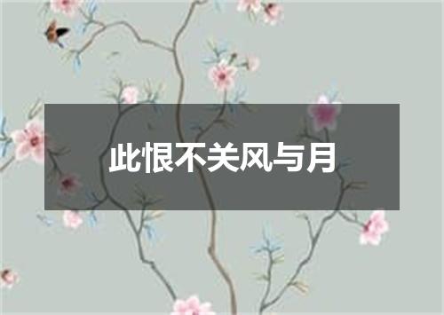此恨不关风与月
