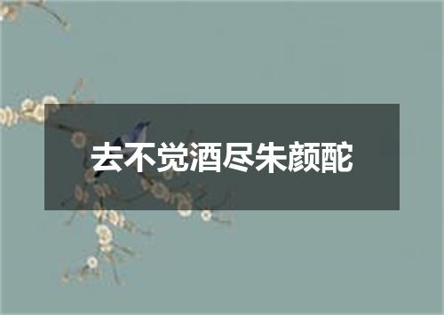 去不觉酒尽朱颜酡