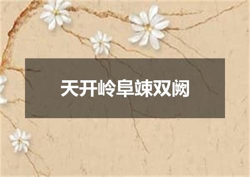 天开岭阜竦双阙