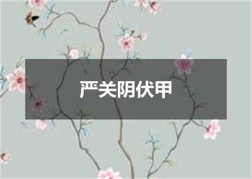 严关阴伏甲