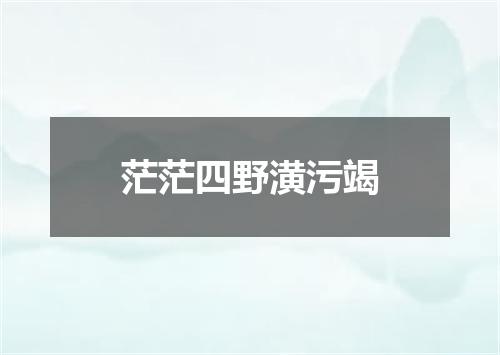 茫茫四野潢污竭