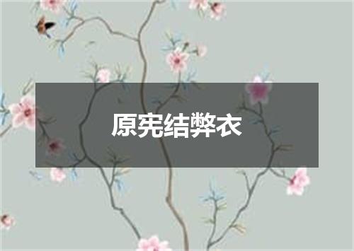 原宪结弊衣