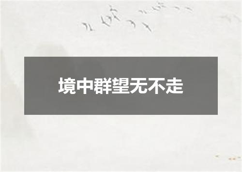 境中群望无不走