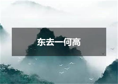 东去一何高