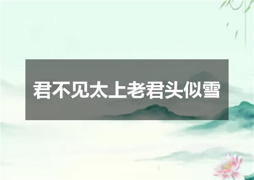 君不见太上老君头似雪