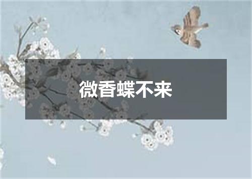 微香蝶不来