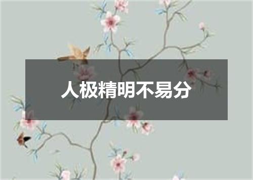 人极精明不易分