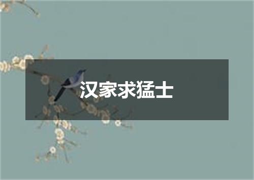 汉家求猛士