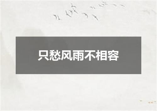 只愁风雨不相容