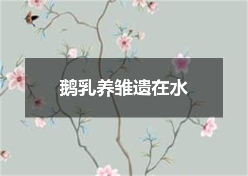 鹅乳养雏遗在水