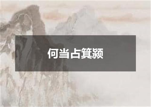 何当占箕颍
