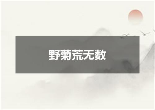 野菊荒无数