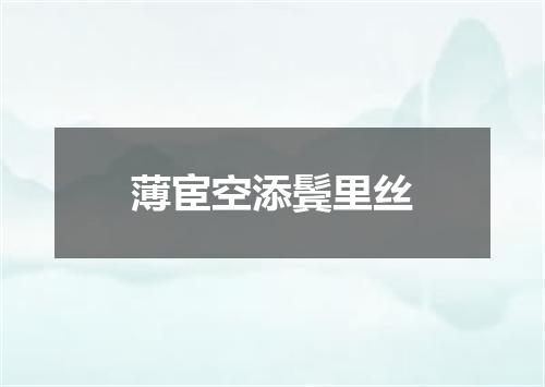 薄宦空添鬓里丝