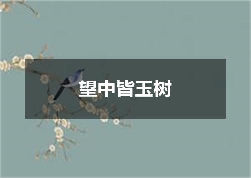 望中皆玉树