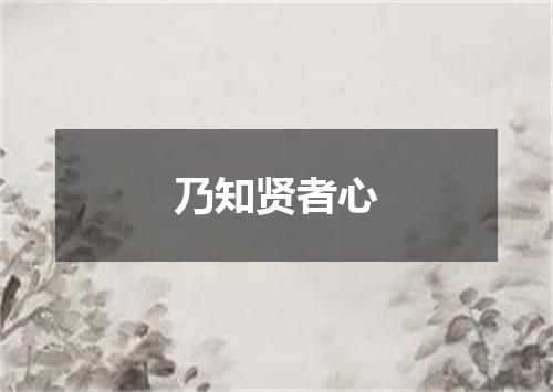 乃知贤者心