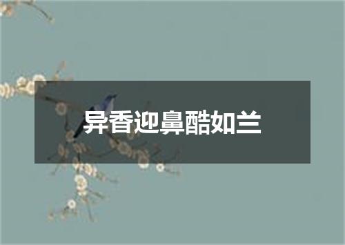异香迎鼻酷如兰