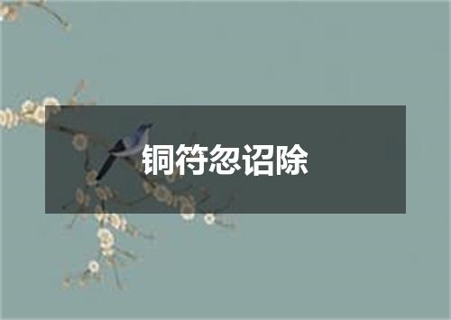 铜符忽诏除