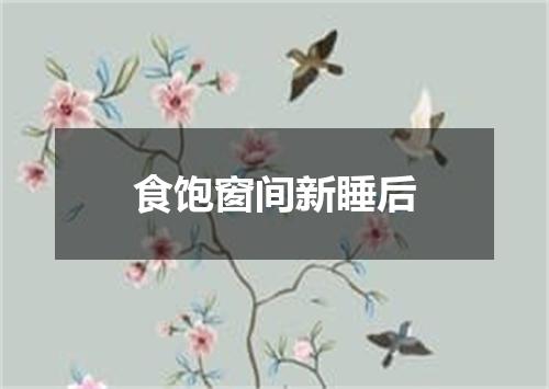 食饱窗间新睡后
