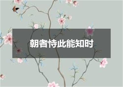 朝者恃此能知时
