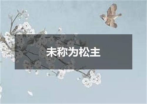 未称为松主