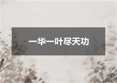 一华一叶尽天功