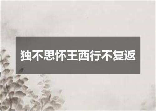 独不思怀王西行不复返