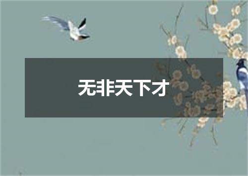 无非天下才