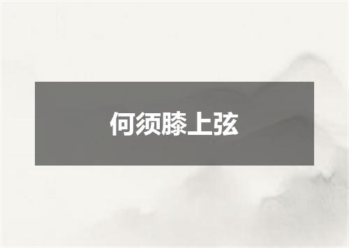 何须膝上弦
