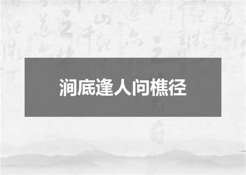 涧底逢人问樵径