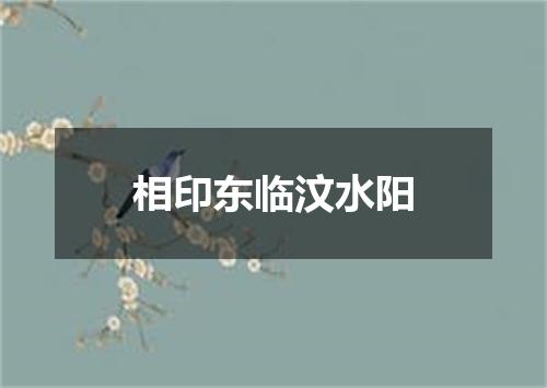 相印东临汶水阳