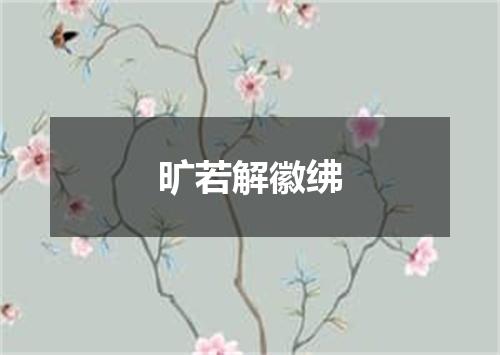 旷若解徽绋