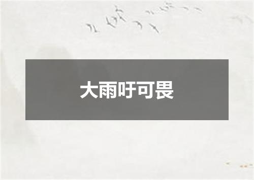 大雨吁可畏