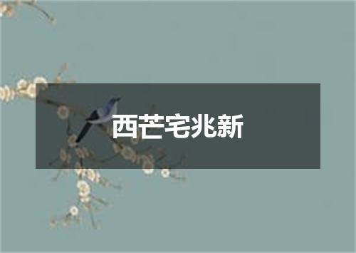 西芒宅兆新