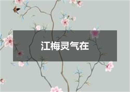 江梅灵气在