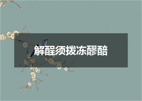 解酲须拨冻醪醅