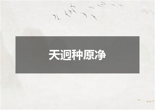 天迥种原净