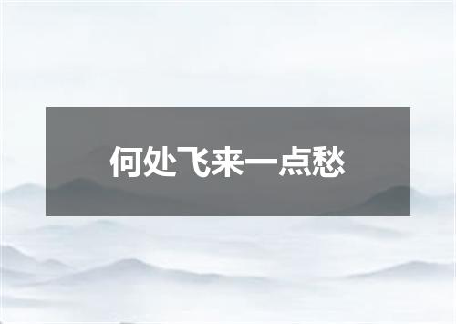 何处飞来一点愁