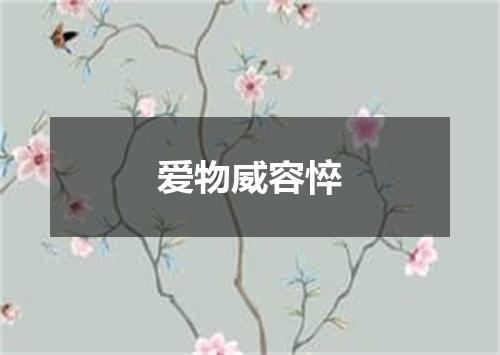 爱物威容悴