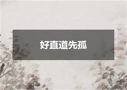 好直道先孤