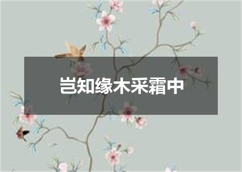 岂知缘木采霜中