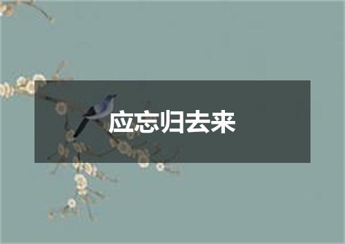 应忘归去来
