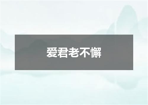 爱君老不懈