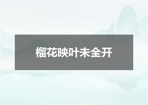 榴花映叶未全开