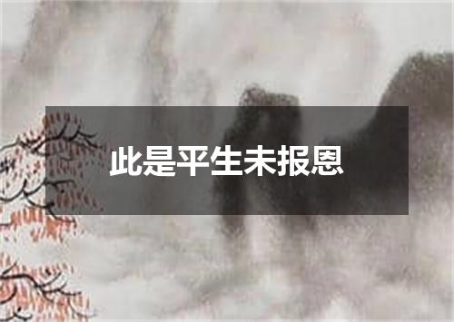 此是平生未报恩