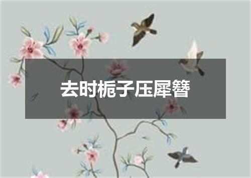 去时栀子压犀簪