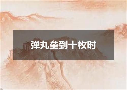 弹丸垒到十枚时