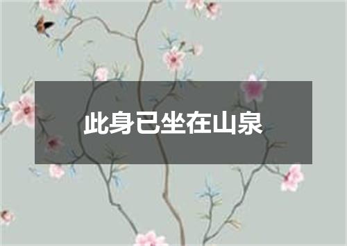 此身已坐在山泉