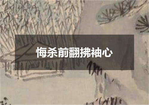 悔杀前翻拂袖心