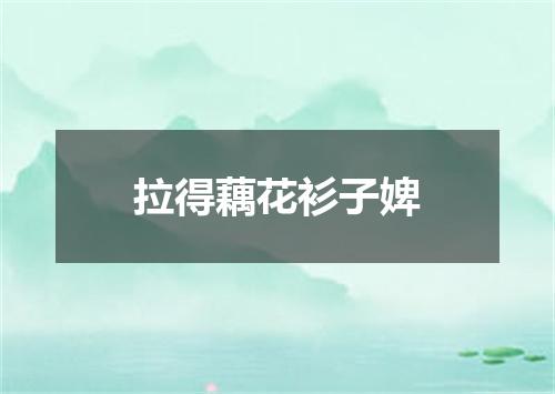 拉得藕花衫子婢